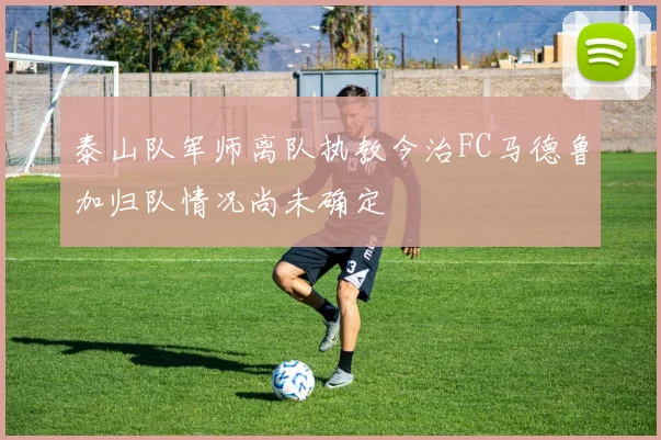 泰山队军师离队执教今治FC马德鲁加归队情况尚未确定